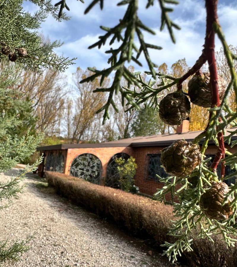 Finca Paraiso Rural El Burgo de Osma-Ciudad de Osma Exterior foto