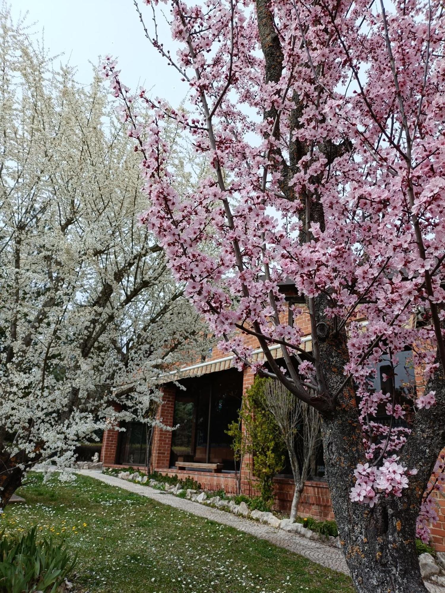 Finca Paraiso Rural El Burgo de Osma-Ciudad de Osma Zimmer foto